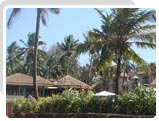 Arambol Beach Resort Goa